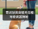 玄熵赫尔城粉丝俱乐部