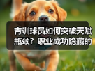 玄熵赫尔城粉丝俱乐部