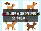 玄熵赫尔城粉丝俱乐部