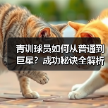 玄熵赫尔城粉丝俱乐部