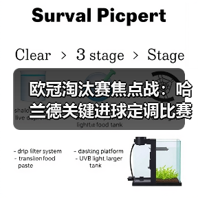 玄熵赫尔城粉丝俱乐部